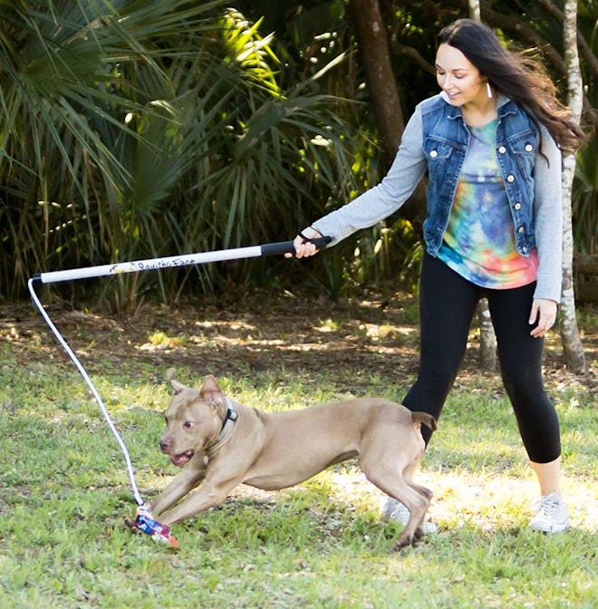 Squishy Face Studio Flirt Pole