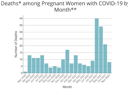 A bar graph shows deaths among pregnant people with Covid-19 by month.