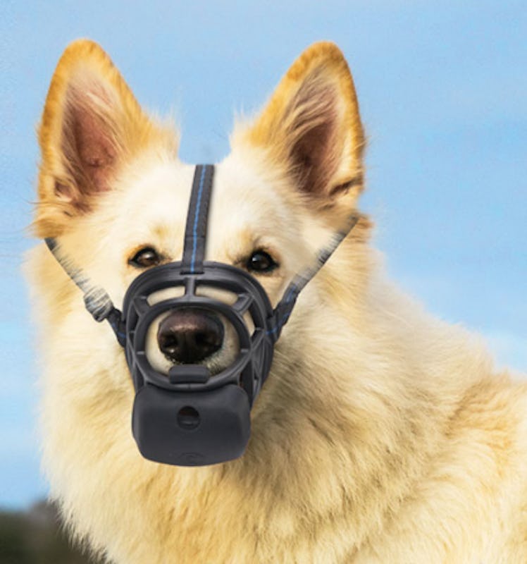 Zeaxuie Humanized Basket Dog Muzzle with Slow Feeder Pad