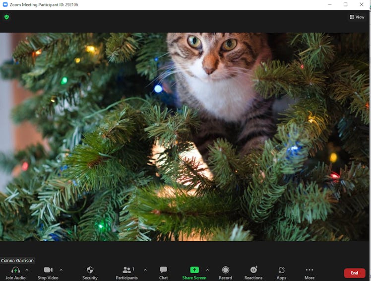 These Christmas tree Zoom backgrounds feature cute cats and more.