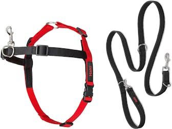  Halti Front Control Harness and Training Lead Combination Pack