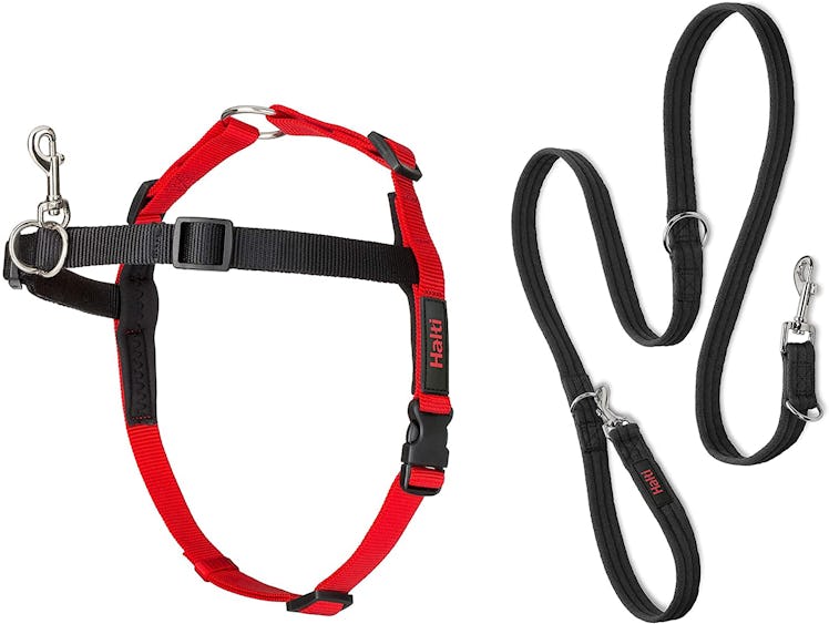  Halti Front Control Harness and Training Lead Combination Pack