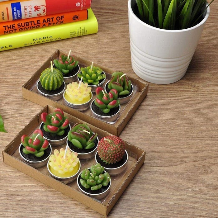 SCENTORINI Tealight Cactus Candles (12-Pack)