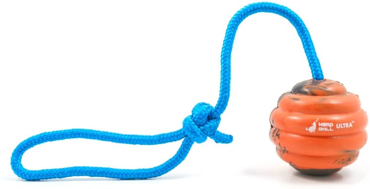 Nero Ball Ultra TM - Dog Training Ball On A Rope