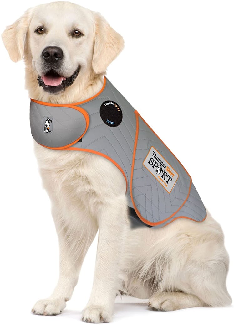 ThunderShirt for Dogs, Sport