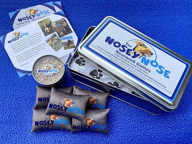 The Nosey Nose: Nosework Training Program