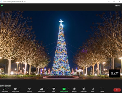 These Christmas tree Zoom backgrounds include shots of Walt Disney World during the holidays.