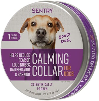  Sentry Dog Collar