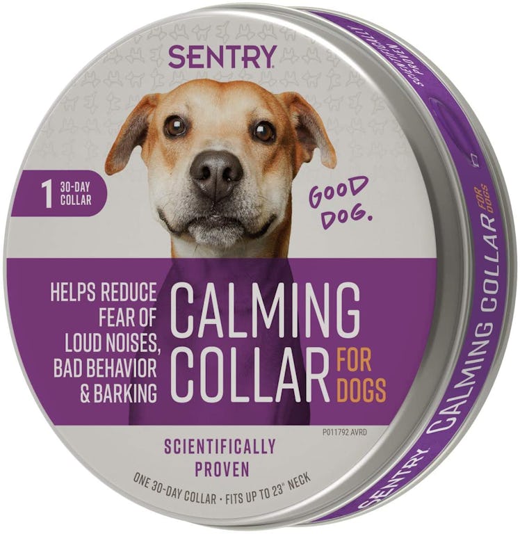 Sentry Dog Collar