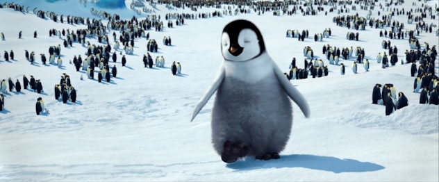 An adorable baby penguin stands apart from his colony in Happy Feet