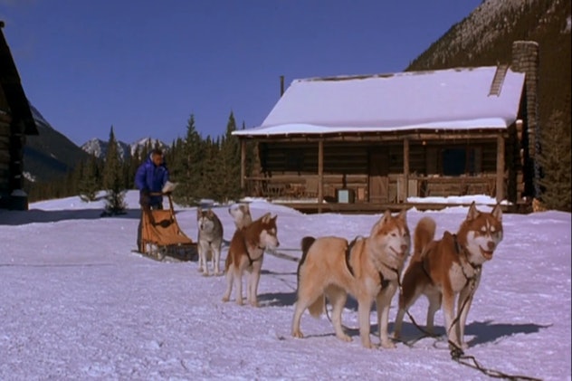 Cuba Gooding Jr. stands on a sled among a pack of snow dogs in Snow Dogs