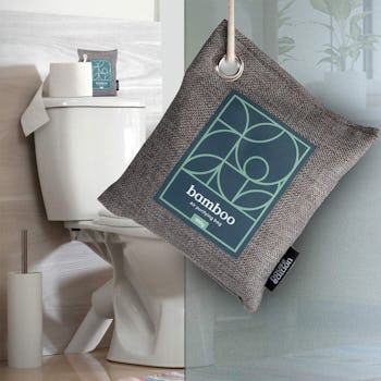 HOUSE EDITION Air Purifying Bag (4-Pack)
