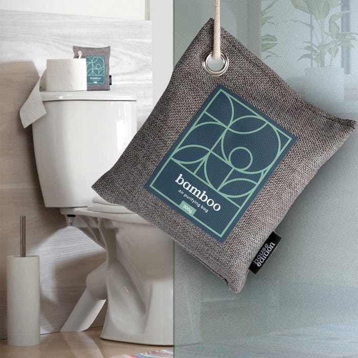 HOUSE EDITION Air Purifying Bag (4-Pack)