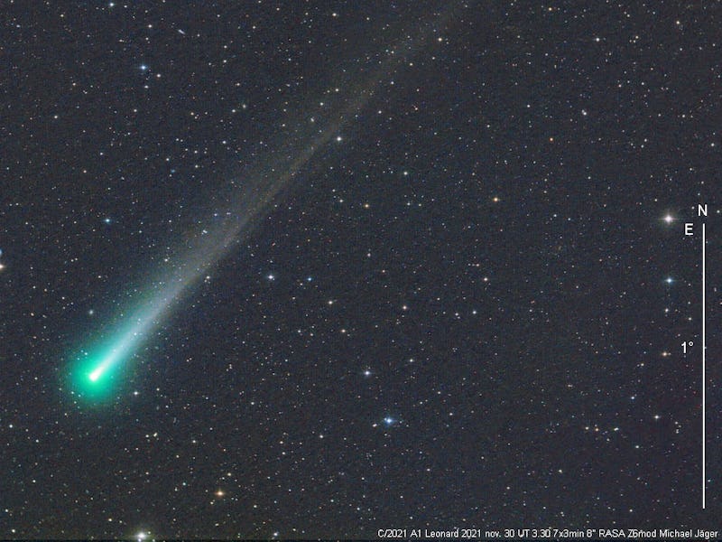 comet leonard in the night sky
