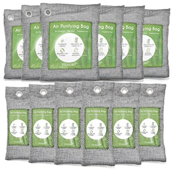 Vitscan Bamboo Charcoal Air Purifying Bag (12-Pack)