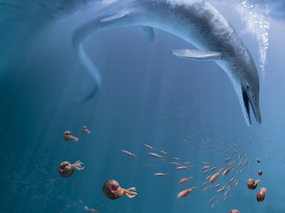 Artistic recreation of C. youngorum stalking the Nevadan oceans of the Late Triassic 246 million yea...