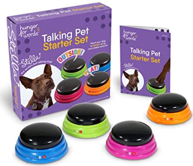 Hunger for Words Talking Pet Starter Set