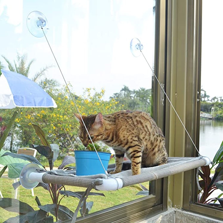 Pupagree Cat Window Hammock