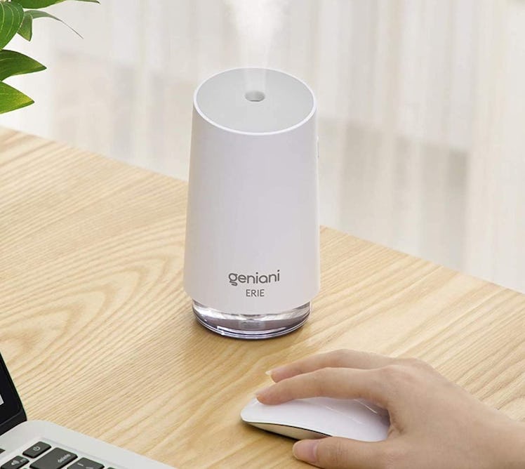 GENIANI Erie Portable USB Humidifier