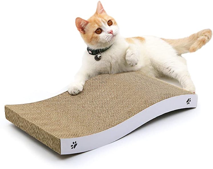 Coching Cat Scratcher Pad