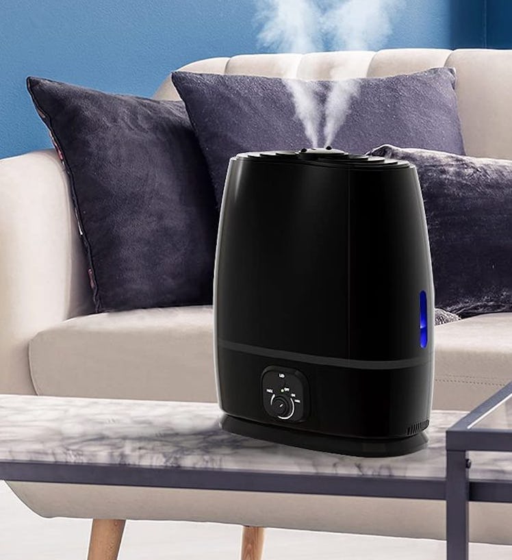 Everlasting Comfort Cool Mist Humidifier