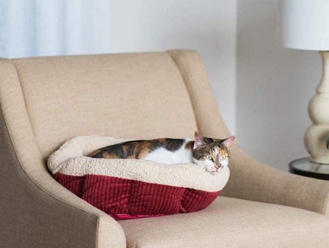 Aspen Pet Self-Warming Bed
