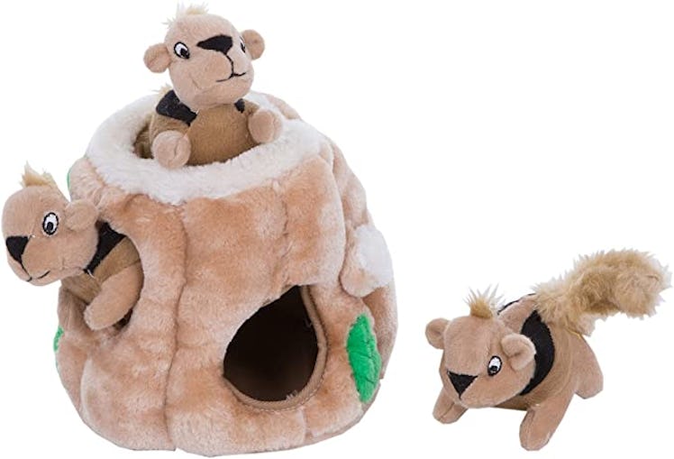 Outward Hound Hide-A-Squirrel Squeaky Puzzle Plush Dog Toy