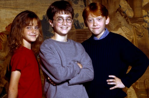Emma Watson, Daniel Radcliffe, and Rupert Grint star in the 'Harry Potter' series.