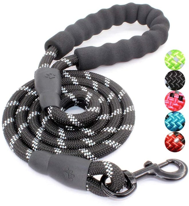 BAAVET Dog Leash For Small And Large Dogs