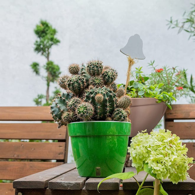 Santino Self Watering Planter