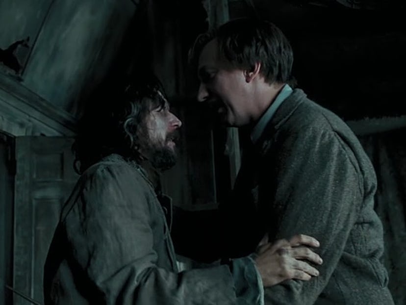 Lupin and Black in Harry Potter
