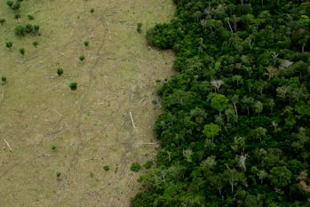 Deforestation in Amazon