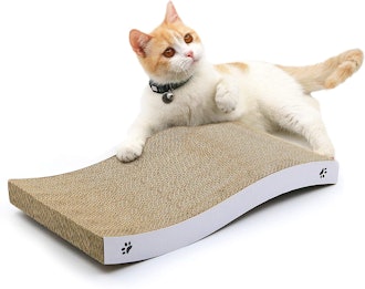 Coching Cat Scratcher