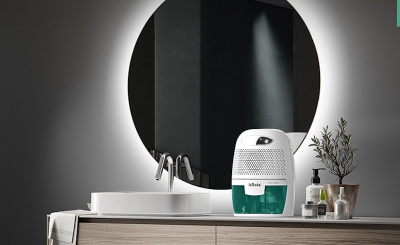 best dehumidifiers for bathrooms