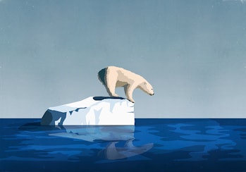 Polar bear on melting iceberg