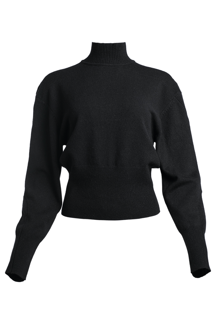 Proenza Schouler black turtleneck.