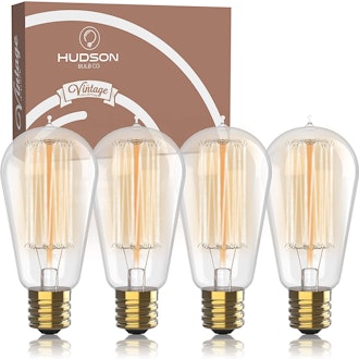 Hudson Vintage Incandescent 60W Edison Light Bulbs (4-Pack) 