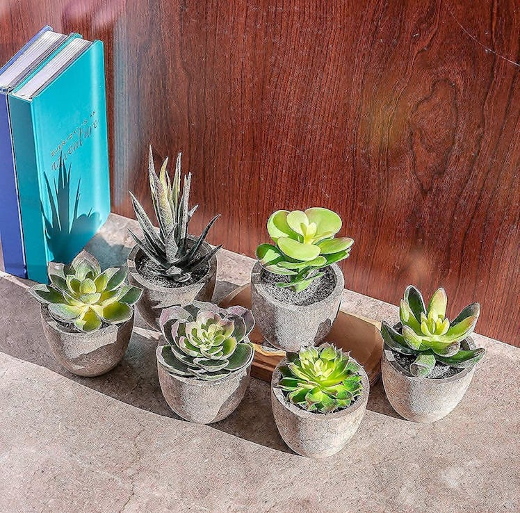 Sophia's Garden Artificial Succulents (Set of 6)