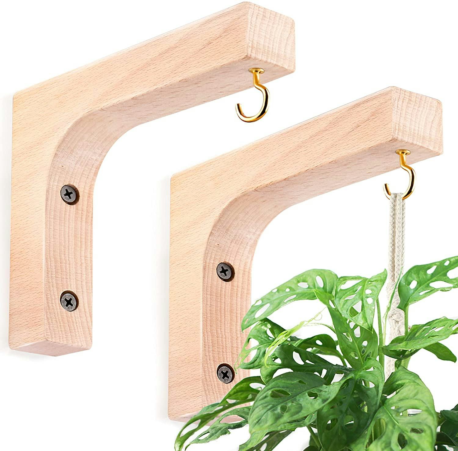 The 9 Best Hooks For Hanging Plants In 2022