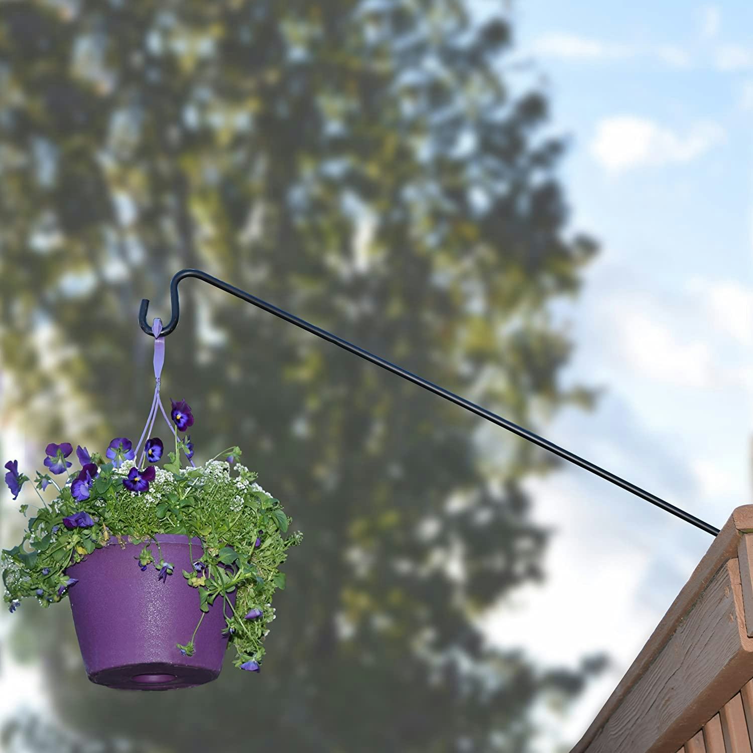 The 9 Best Hooks For Hanging Plants In 2022