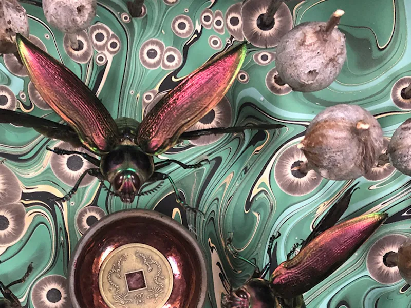 Insect Pattern Artist Insect art: Why some artists opt for invertebrate inspiration