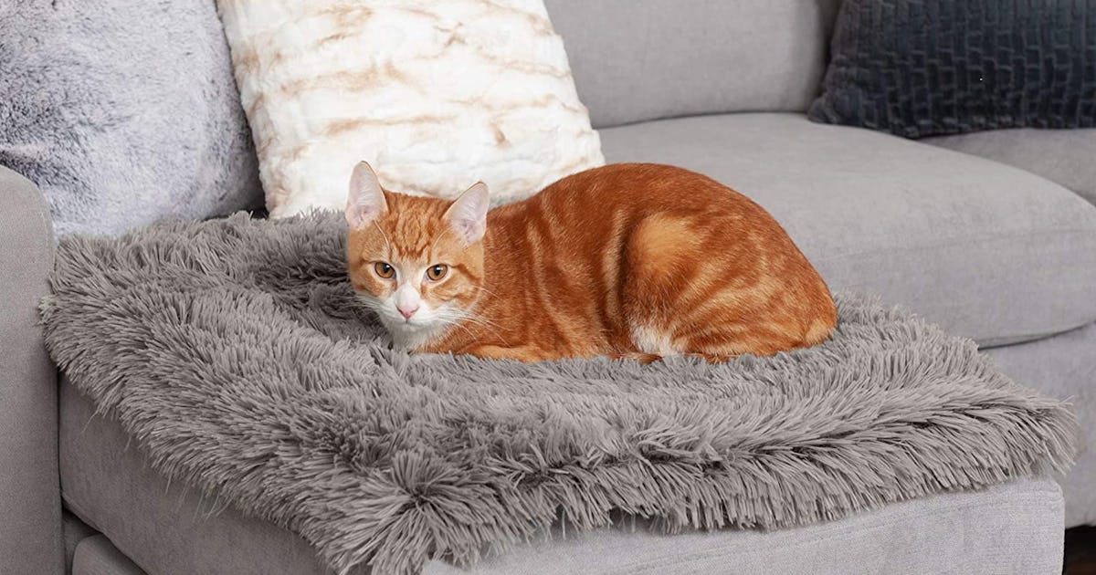 Argos heated cat bed Clearance