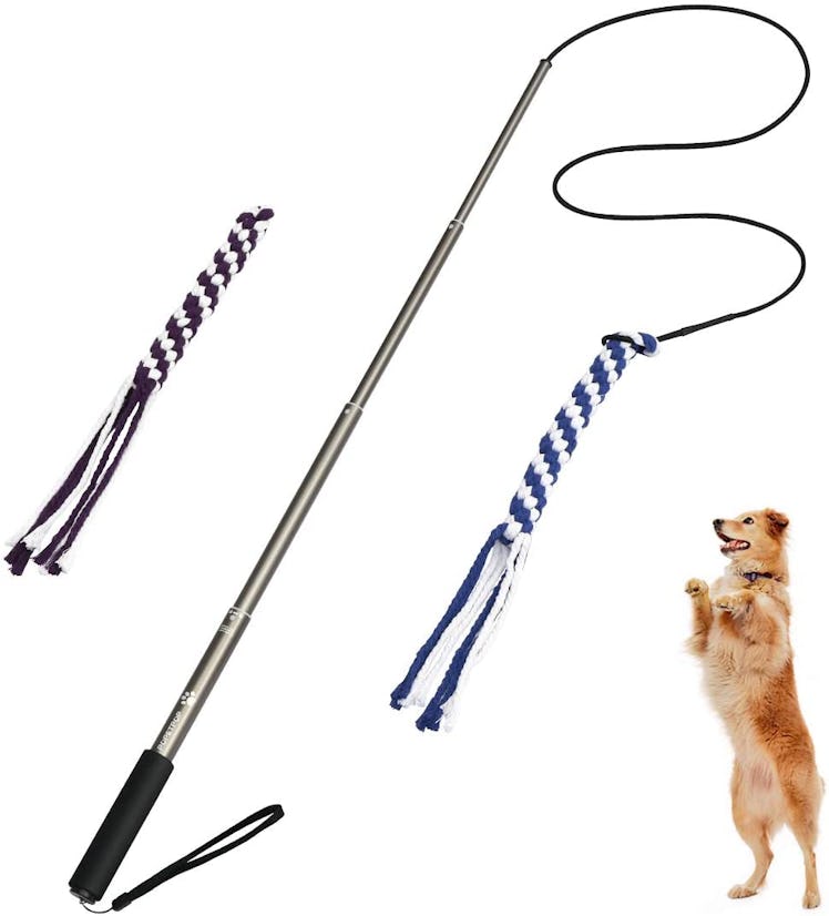 POPETPOP Dog Extendable Teaser Wand