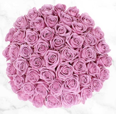 Costco Valentine's Day 50-stem Lavender Roses