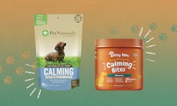 best calming treats for dogs