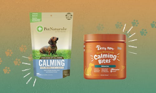 best calming treats for dogs