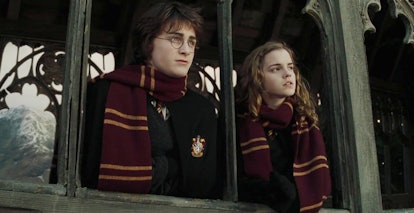 Harry and Hermione in 'Harry Potter & The Goblet Of Fire'