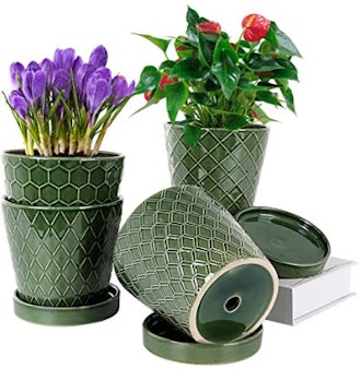 EFISPSS Flower Planter With Drainage Hole and Ceramic Tray (Set Of 4)