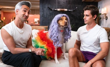 Antoni's rescue dog Neon steals the show in 'Queer Eye' Season 6.