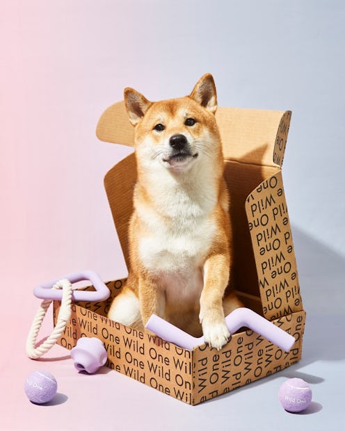 best gifts for dog lovers